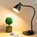 Front. Circuit Terra - Flexible Gooseneck Desk Lamp - Matte Black.