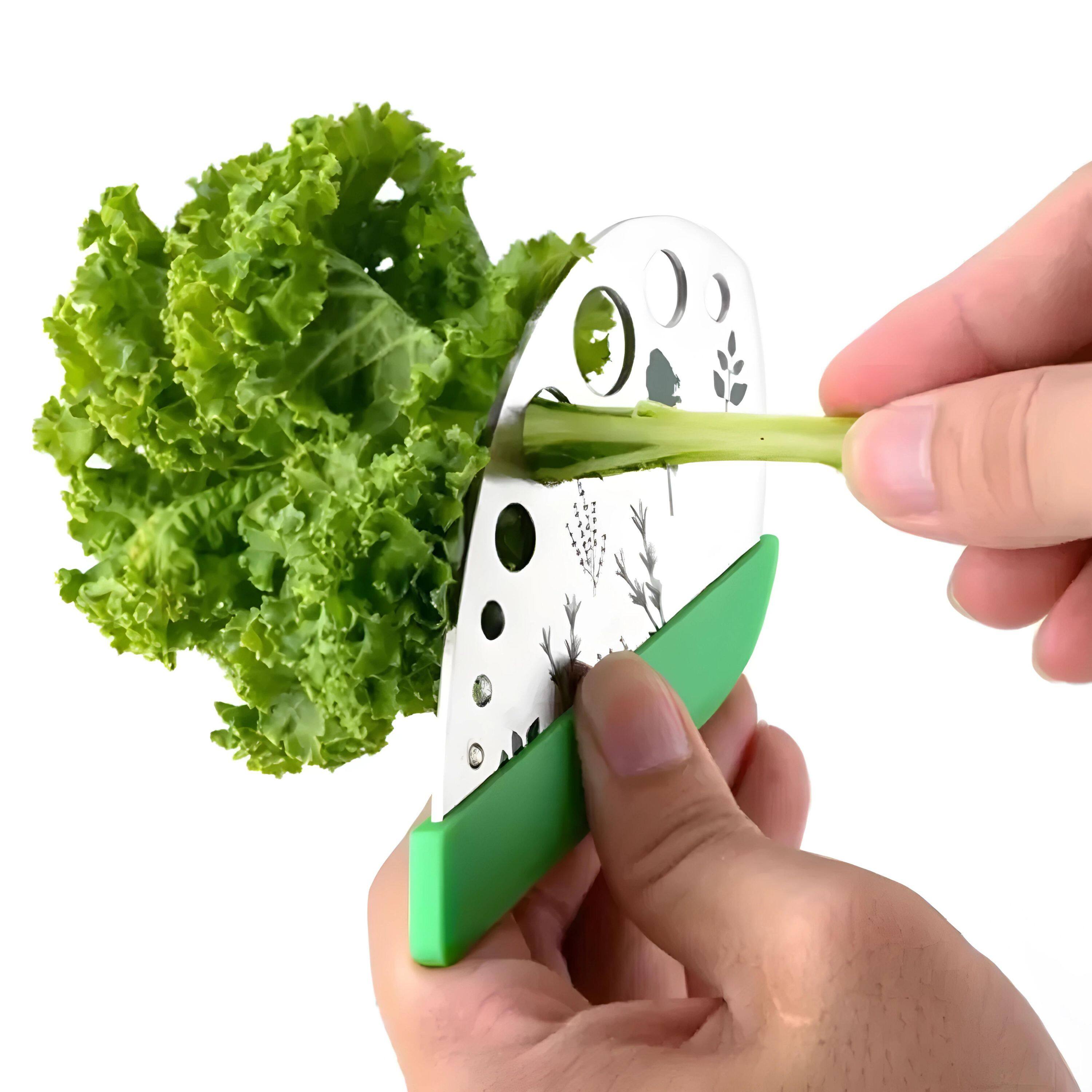 Left. Kitcheniva - 9-Hole Leaf Herb Stripper Peeler Tool.