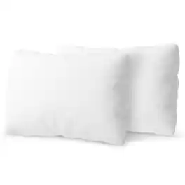 Cheer Collection - Down Alternative Velour Accent Throw Pillow, Set of 2 - White