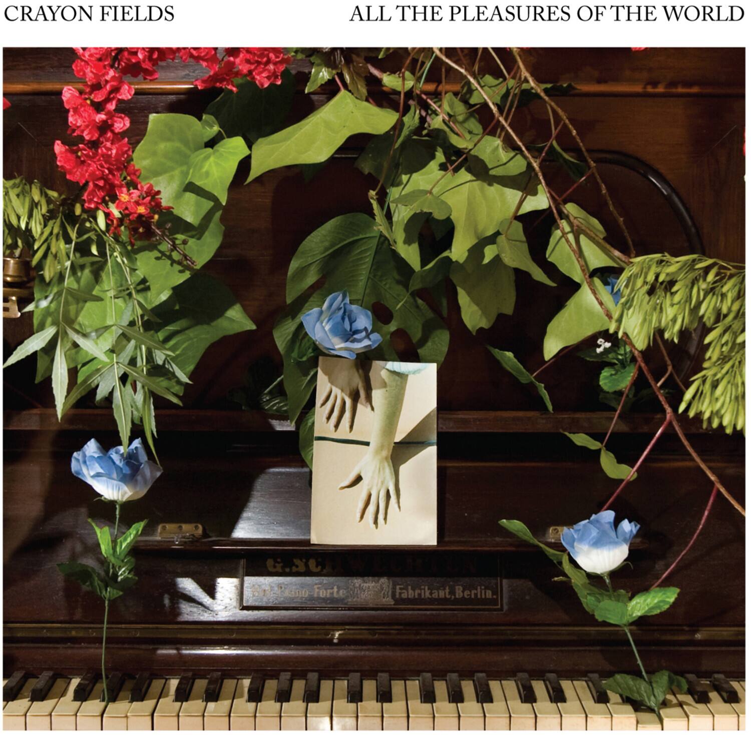 The Crayon Fields - All the Pleasures Of the World   - COMPACT DISCS [CD] price history on PriceWatchPro