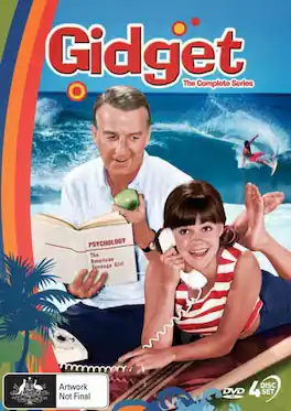 Gidget: The Complete Series - DVD