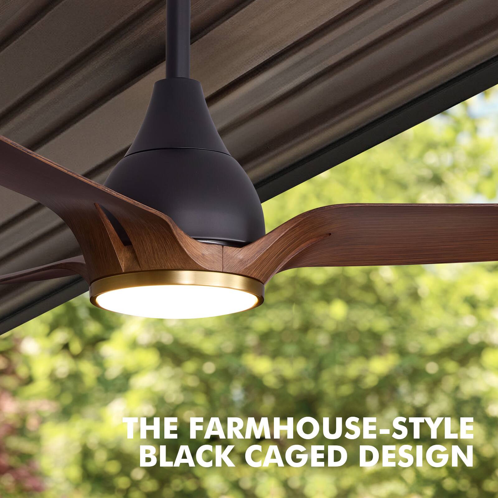 THE FARMHOUSE-STYLE BLACK CAGED DESIGN