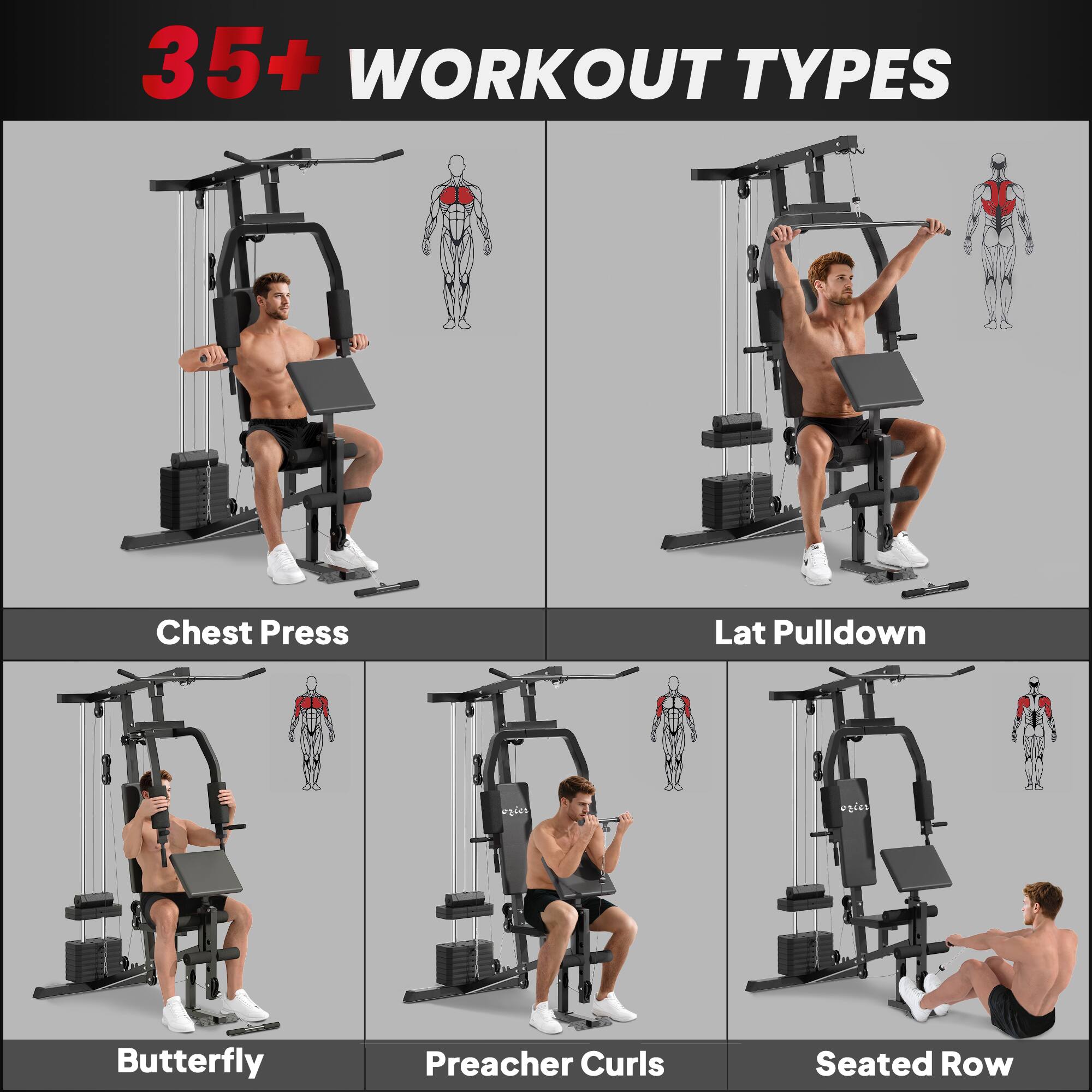 35+ WORKOUT TYPES

- Chest Press
- Lat Pulldown
- Butterfly
- Preacher Curls
- Seated Row