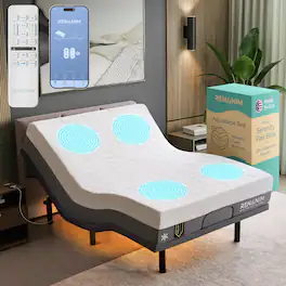 Renanim - SFE Queen Adjustable Electric Bed Frame with 14" Memory Foam Mattress, Massage, USB, Remote & UnderBed Light - Gray