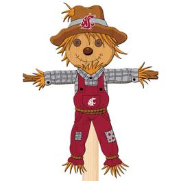 Fan Creations - Washington State Cougars 12" Scarecrow Yard Stake - Multicolor
