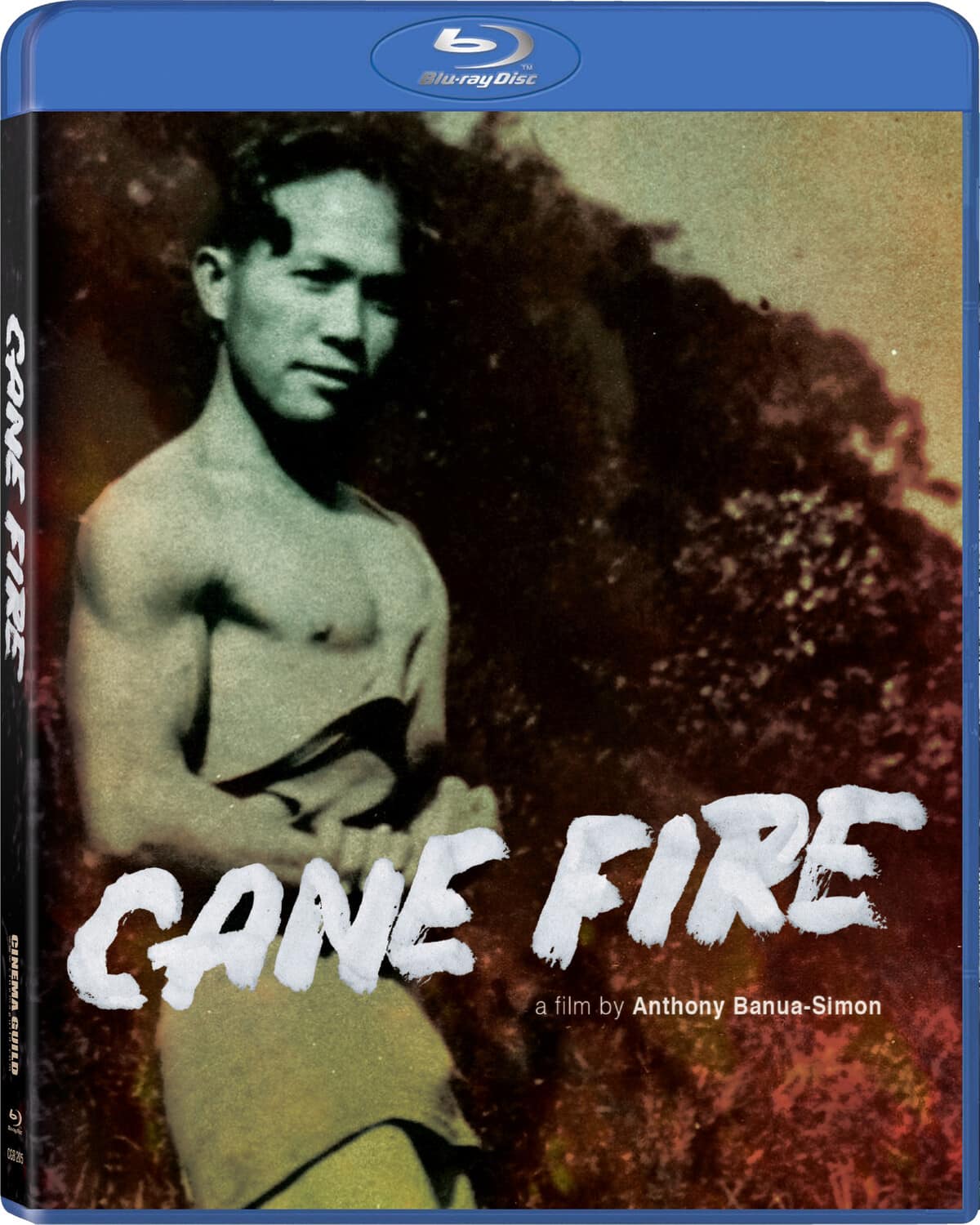 Cane Fire  - BLU-RAY