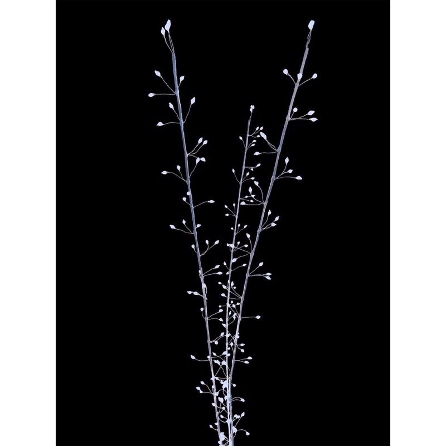 Angle. Celebrations - Celebrations LED Pure White Lighted Branches 38 in. Yard Decor - White.