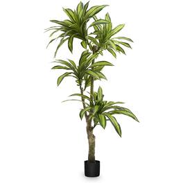 Maia Shop - Artificial Dracaena Tree 5.5 ft. Tall Tropical Home Decoration, 67 In - Brown