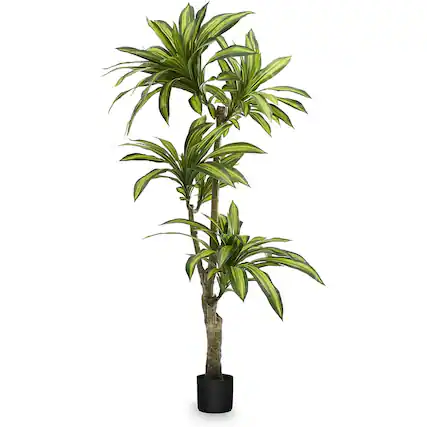 Front. Maia Shop - Maia Shop Artificial Dracaena Tree 5.5 ft. Tall Tropical Home Decoration, 67 In. - Brown.