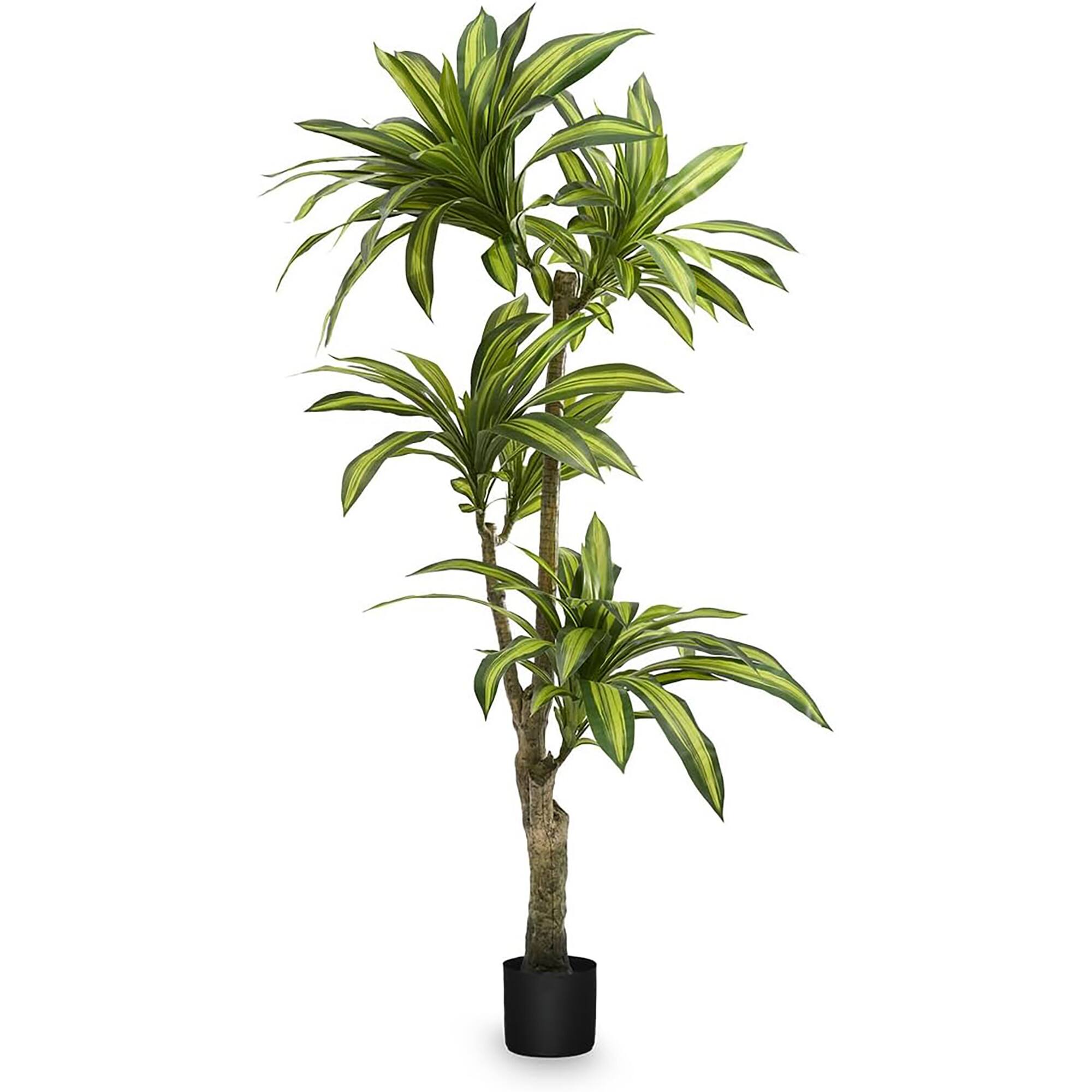 Front. Maia Shop - Maia Shop Artificial Dracaena Tree 5.5 ft. Tall Tropical Home Decoration, 67 In. - Brown.