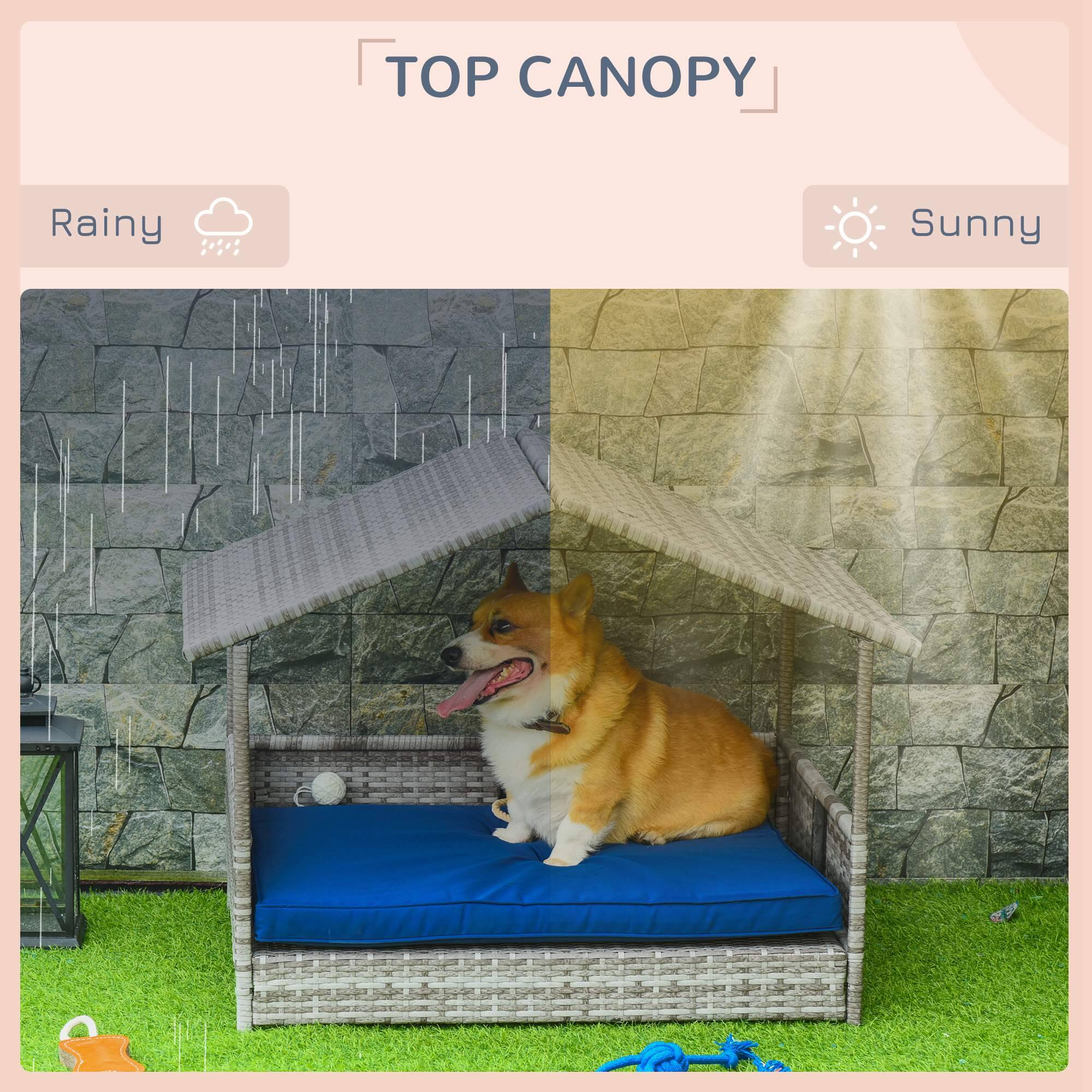 TOP CANOPY

Rainy ☔️

Sunny ☀️