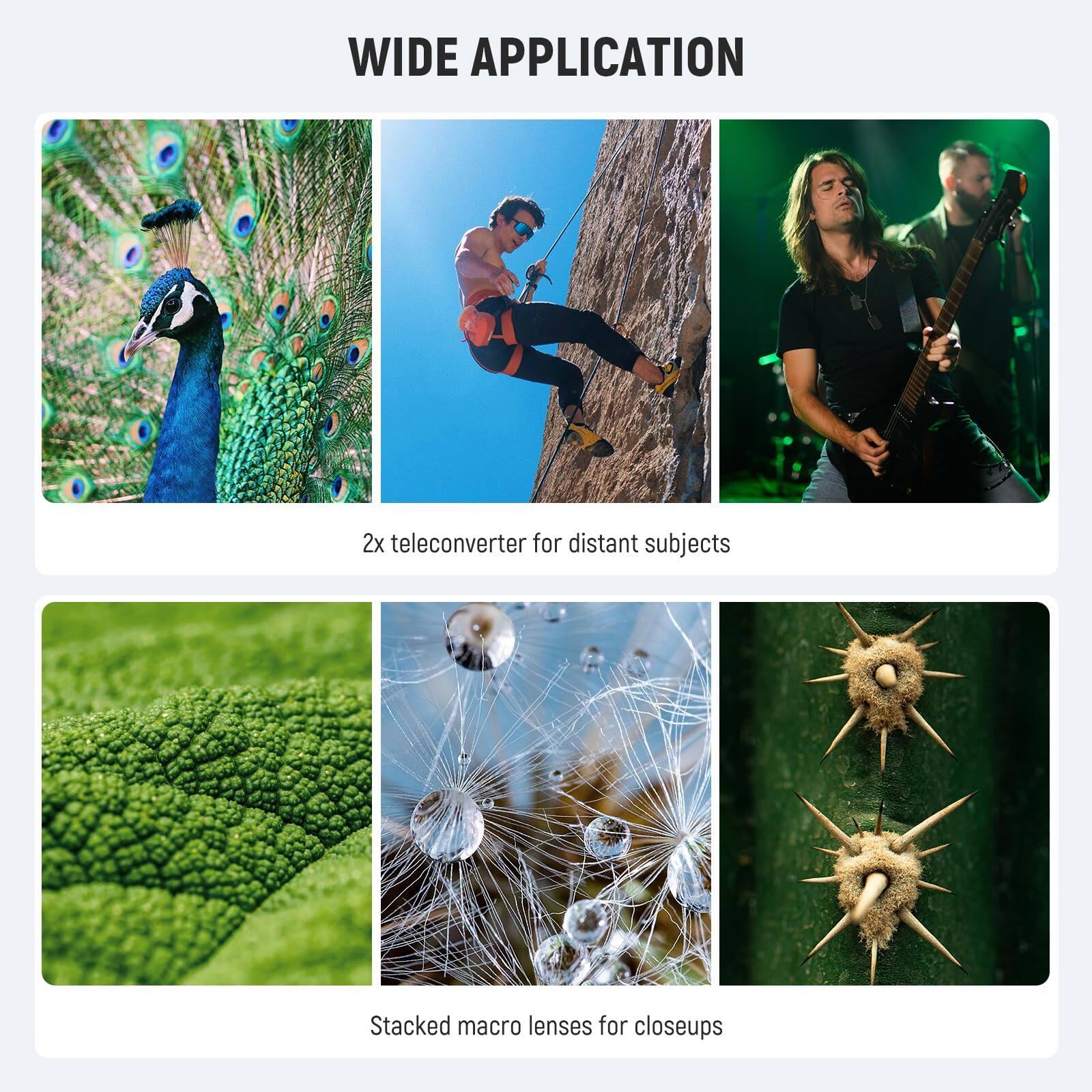WIDE APPLICATION

2x teleconverter for distant subjects

Stacked macro lenses for closeups