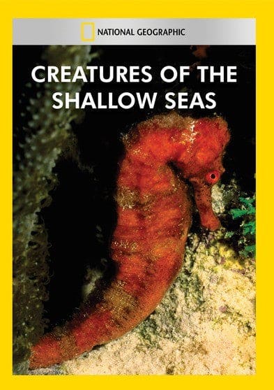 Creatures of the Shallow Seas - DVD