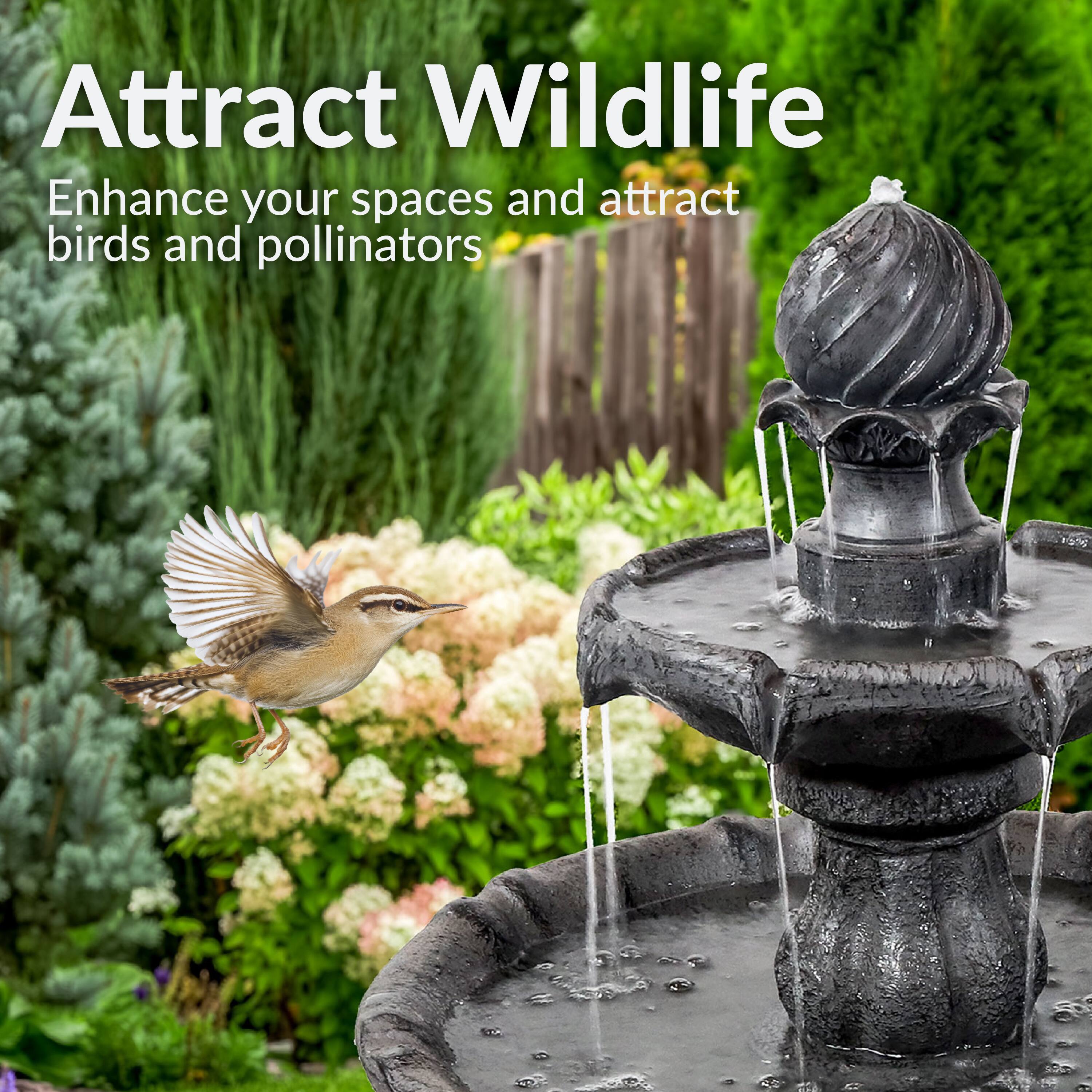Attract Wildlife  
Enhance your spaces and attract birds and pollinators