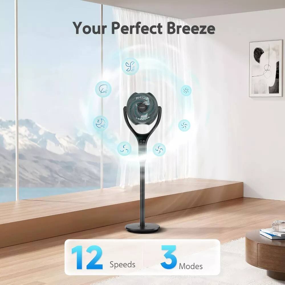 Your Perfect Breeze  
55 Z  
12 Speeds  
3 Modes