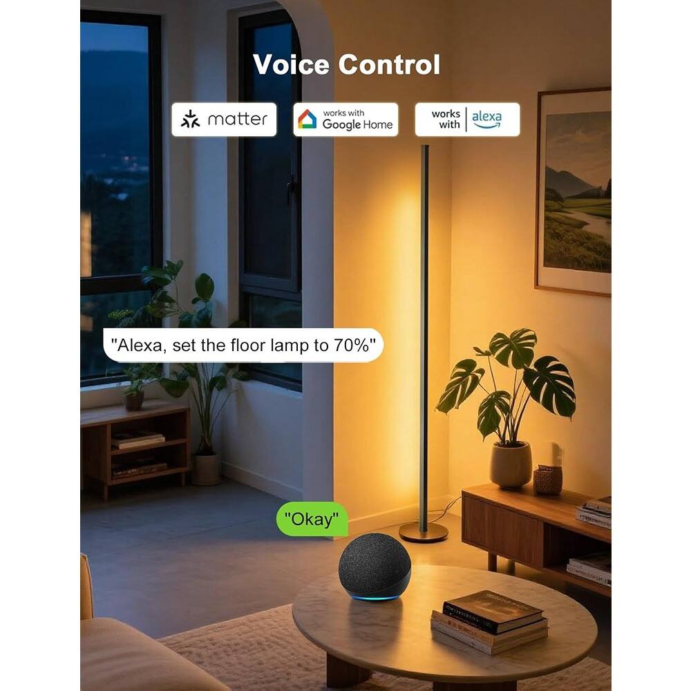Voice Control

- matter
- works with Google Home
- works with alexa

"Alexa, set the floor lamp to 70%"

"Okay"