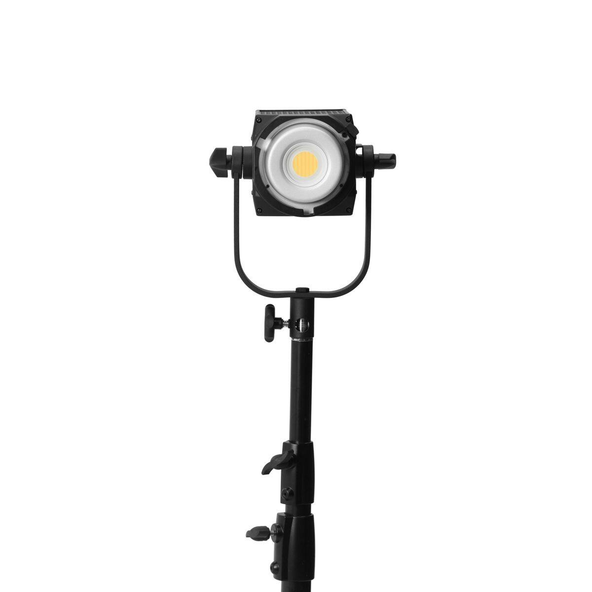Alt View 1. NANLITE - Nanlite FS-150B 175W Bi-Color AC LED Monolight.