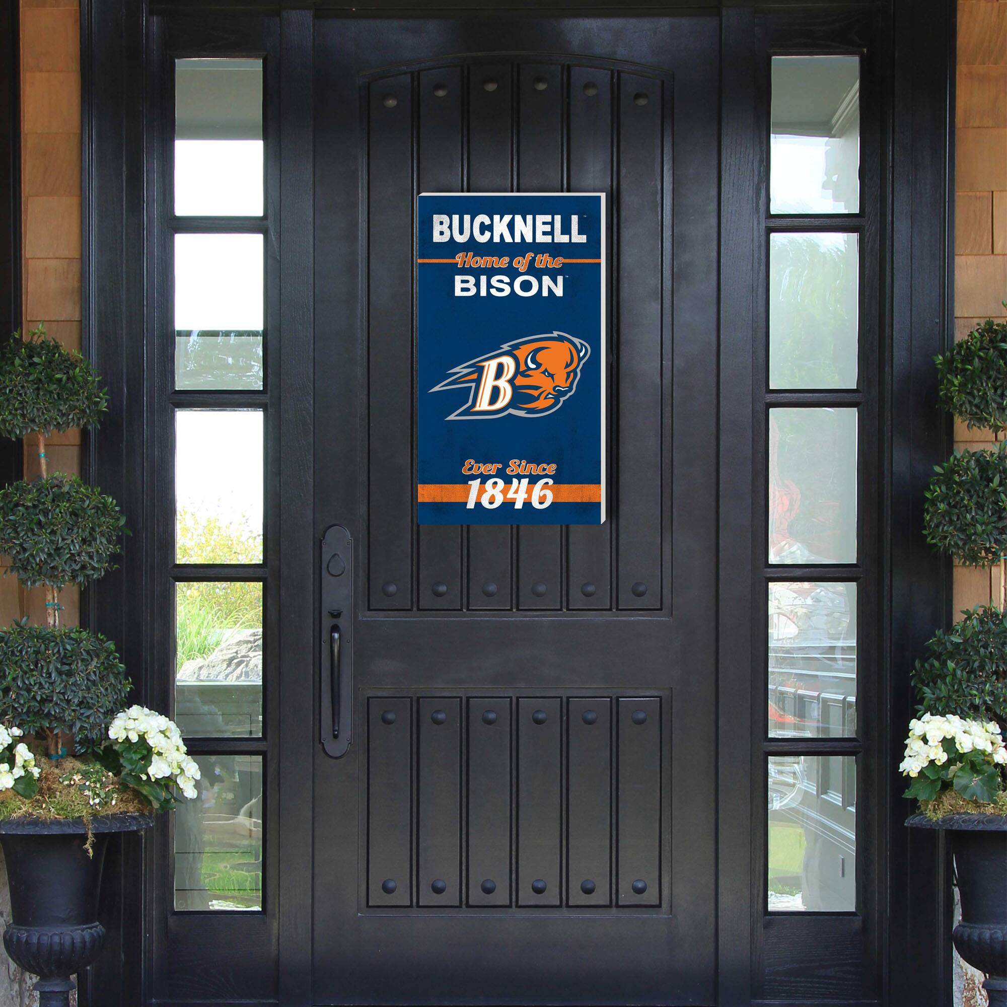 BUCKNELL  
Home of the BISON  
Ever Since 1846