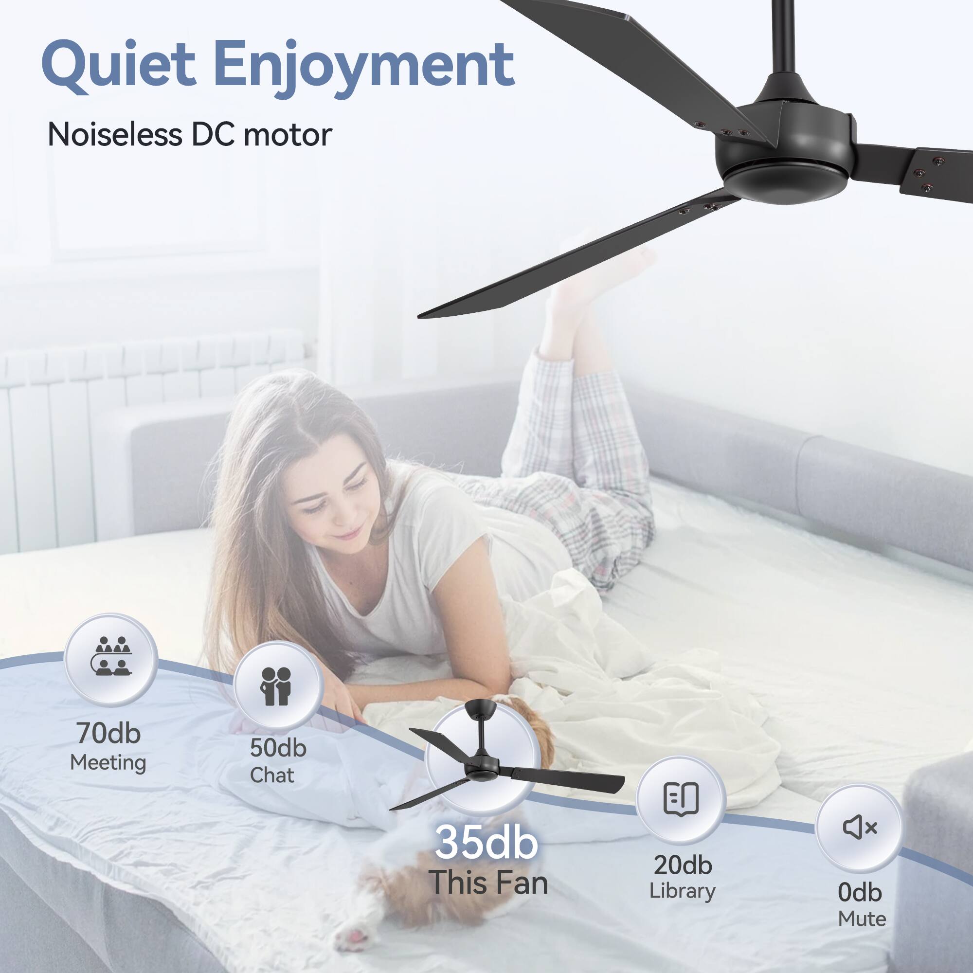 Quiet Enjoyment Noiseless DC motor

70db Meeting
50db Chat
35db This Fan
20db Library
0db Mute