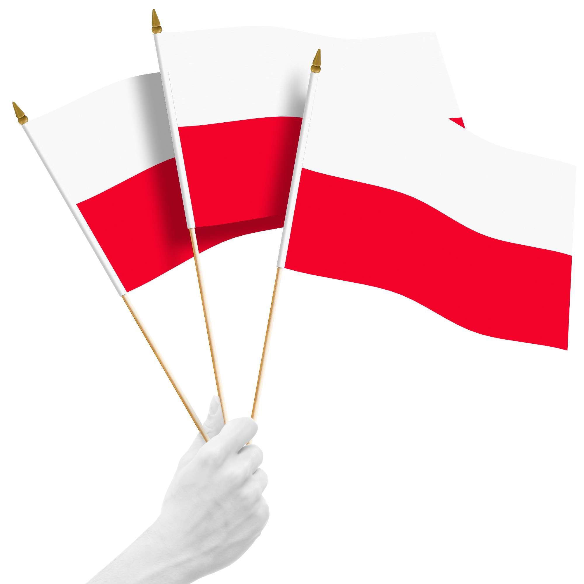 Front. G128 - Handheld Poland Stick Flags 12x18 Inch Printed 150D Polyester 10 Pack - Red/White.