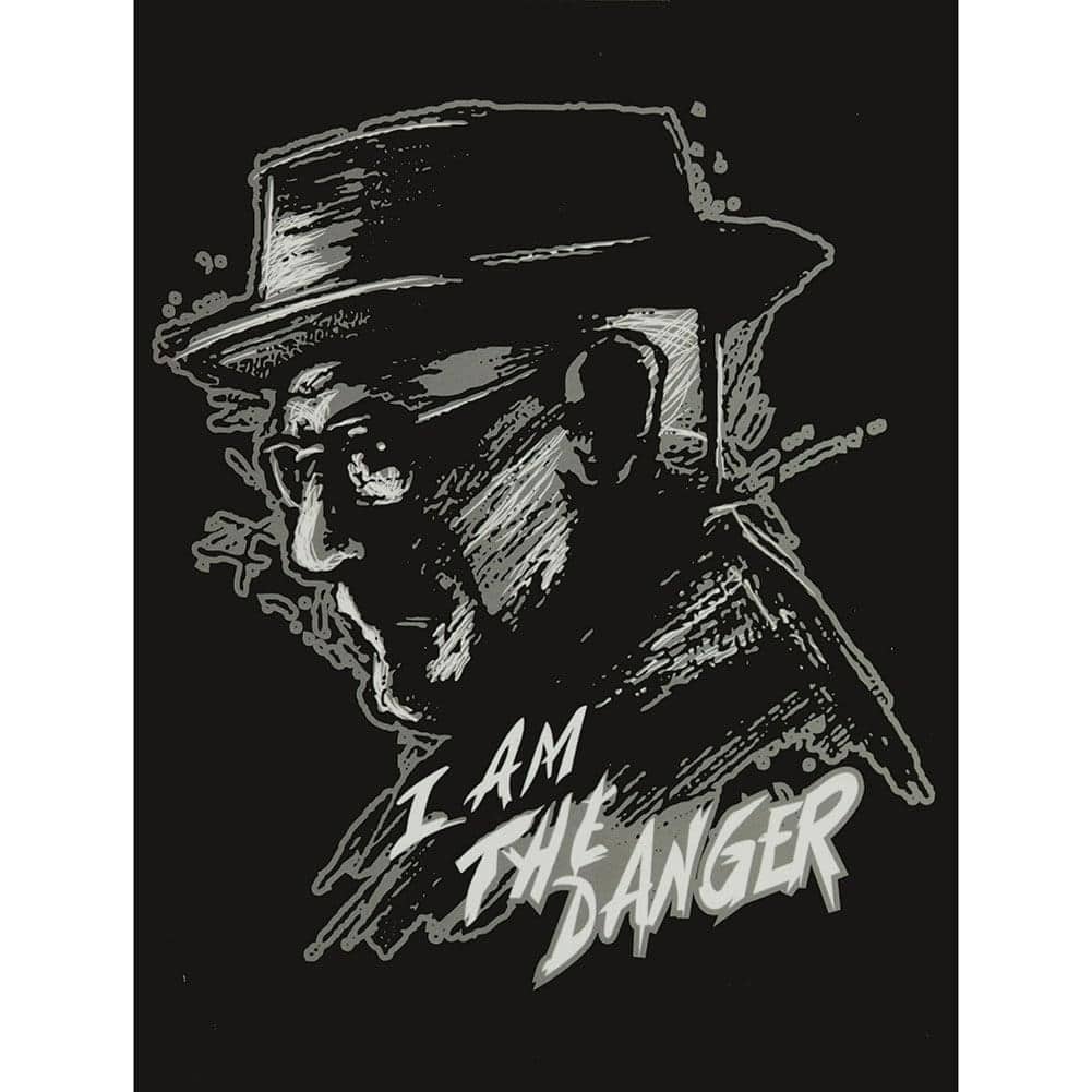 Just Funky - Breaking Bad I Am The Danger Lightweight Fleece Throw Blanket | 45 x 60 Inches - Black price history on PriceWatchPro