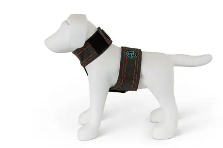 Front. Assisi - Calmer Canine Convenience Vest Only - Medium - Black.