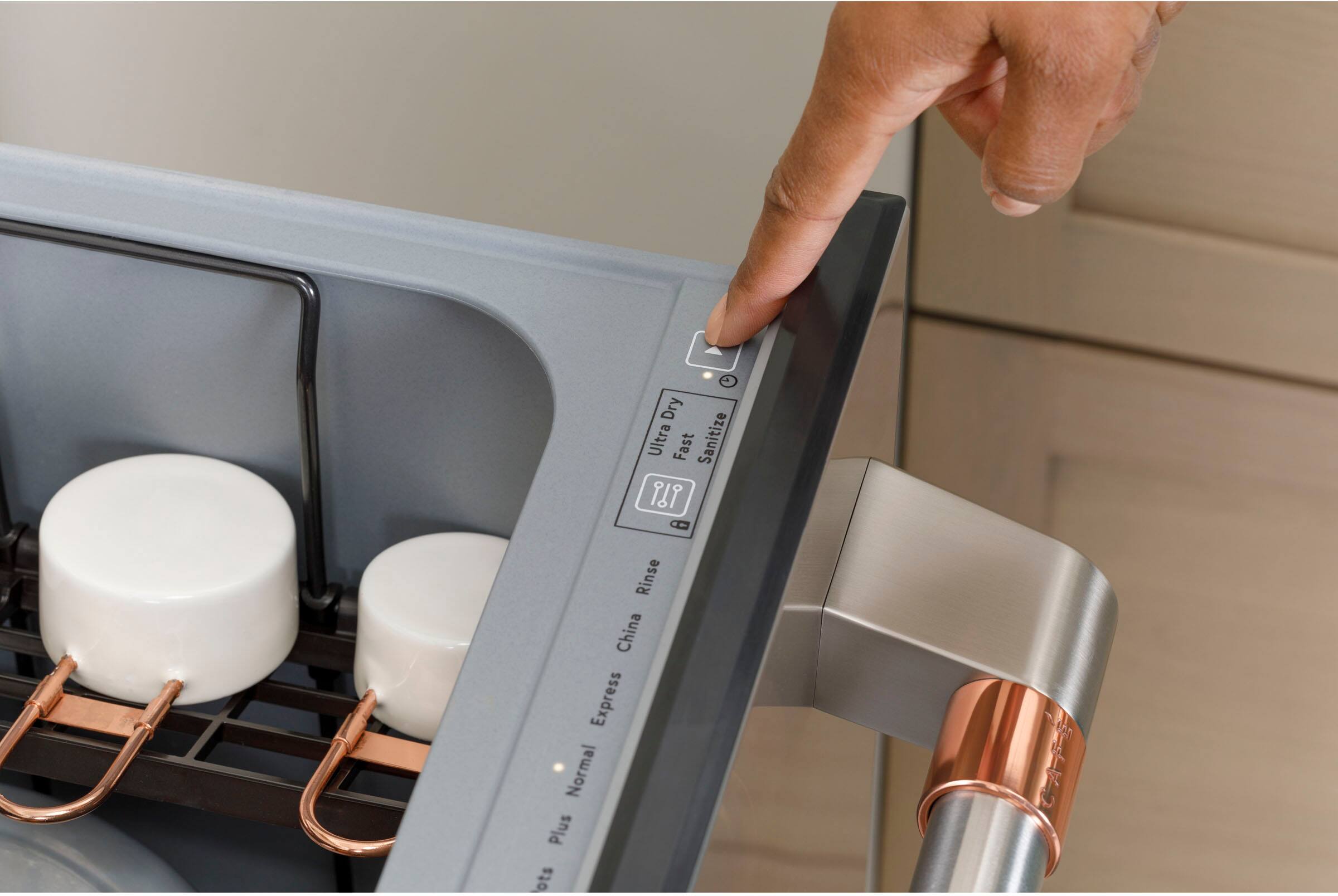 The text on the image reads: "Dry Ultra Fast Sanitize IP Rinse China Express Normal Plus."