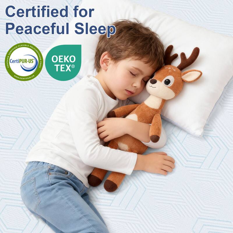 Certified for Peaceful Sleep

DOUBLE CERTIFIED POLYURETHANE CONTAINS CertiPUR-US FOAM

OEKO TEX

www.certipur.us