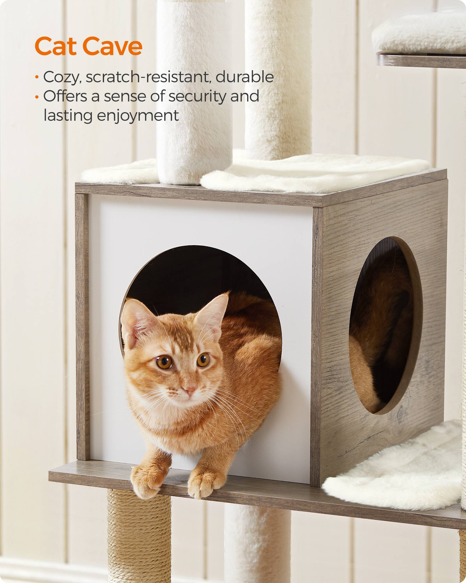 Cat Cave  
Cozy, scratch-resistant, durable  
Offers a sense of security and lasting enjoyment