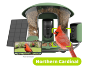 Birdfy 2 Smart Bird Feeder with Camera, Dual-Angle Views,AI Identifies 6000+ Birds,Solar-Powered, Motion Detection - Green