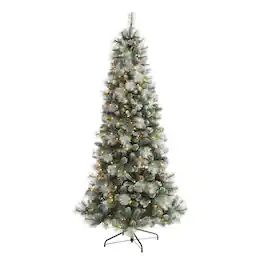 BreeBe - 7’ Frosted Tip British Columbia Mountain Pine Tree - Green