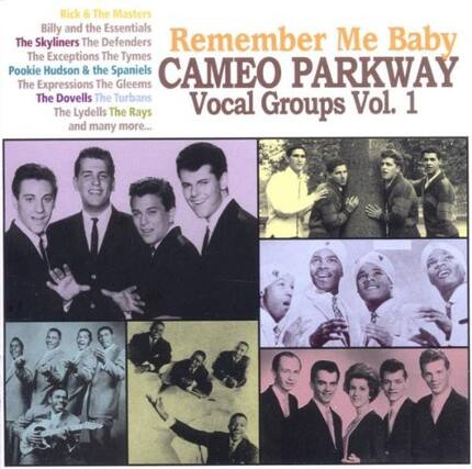 Rick & The Masters
Billy and the Essentials
The Skyliners
The Defenders
Remember Me Baby
The Exceptions
The Tymes
Pookie Hudson & the Spaniels
CAMEO PARKWAY
The Expressions
The Gleems
The Dovells
The Turbans
Vol. 1
The Lydells
The Rays
Vocal Groups and many more...