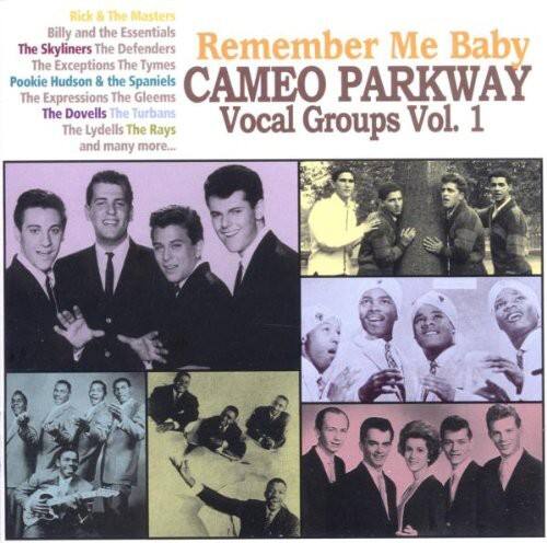 Rick & The Masters  
Billy and the Essentials  
The Skyliners  
The Defenders  
Remember Me Baby  
The Exceptions  
The Tymes  
Pookie Hudson & the Spaniels  
CAMEO PARKWAY  
The Expressions  
The Gleems  
The Dovells  
The Turbans  
Vol. 1  
The Lydells  
The Rays  
Vocal Groups and many more...