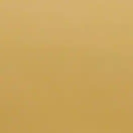 Lee Filters - Mirror Gold 24x21" Gel Filter Sheet