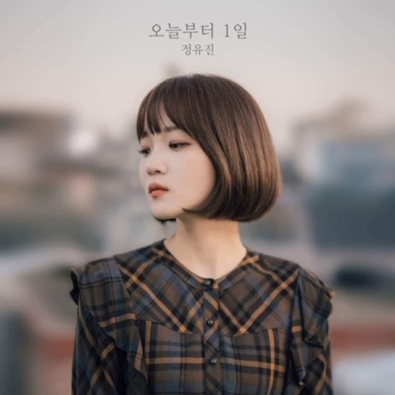 Jeong Yu Jin - The Day After (Limited) (incl. Booklet)   - COMPACT DISCS [CD] price history on PriceWatchPro