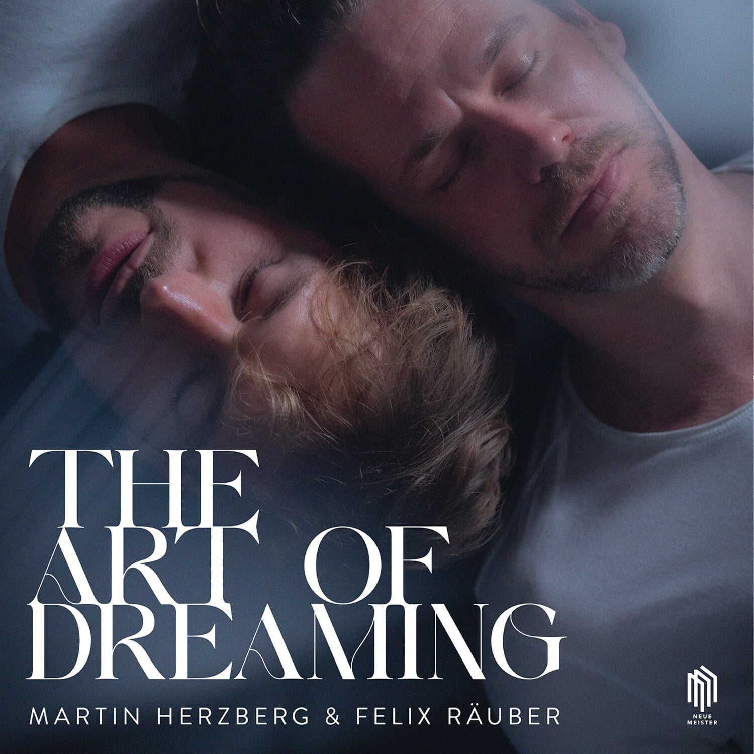 Martin Herzberg - Art of Dreaming - VINYL LP