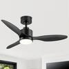 Front. Breezary - 42" Modern Indoor Ceiling Fan, 3 ABS Blades, 6-Speed DC Motor, Remote Control, Timer, 5'' Downrod, Light/No Light Option - Black (With Light).