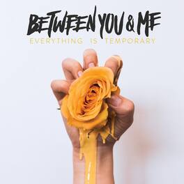 Between You & Me - Everything Is Temporary - VINYL LP