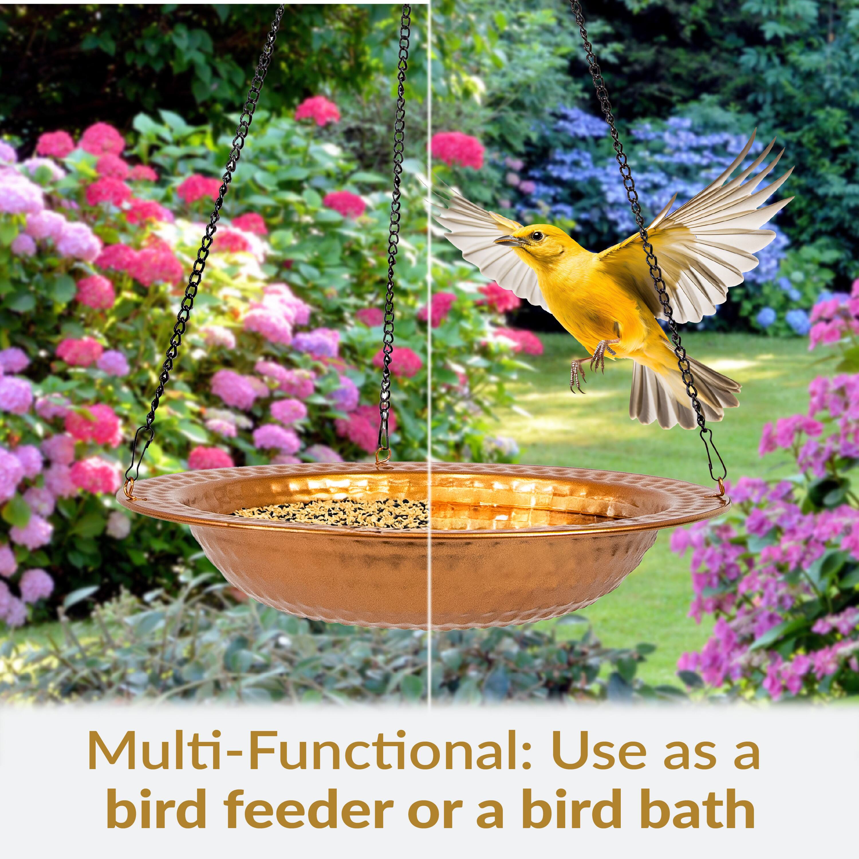 Multi-Functional: Use as a bird feeder or a bird bath