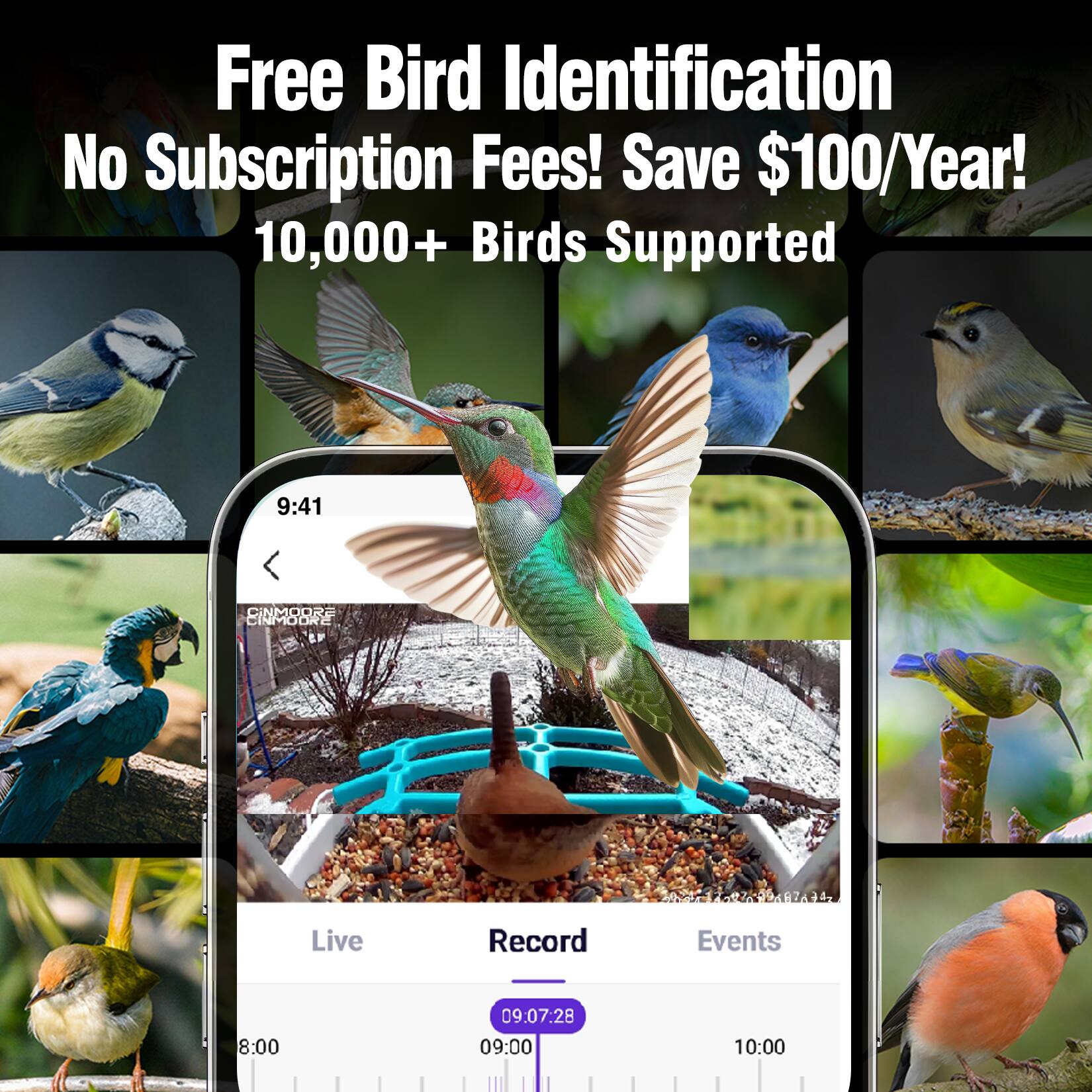 Free Bird Identification  
No Subscription Fees! Save $100/Year!  
10,000+ Birds Supported  

9:41  
CINMOORE INMODRL LF  

Live Record Events  
8:00 09:07:28 09:00 10:00