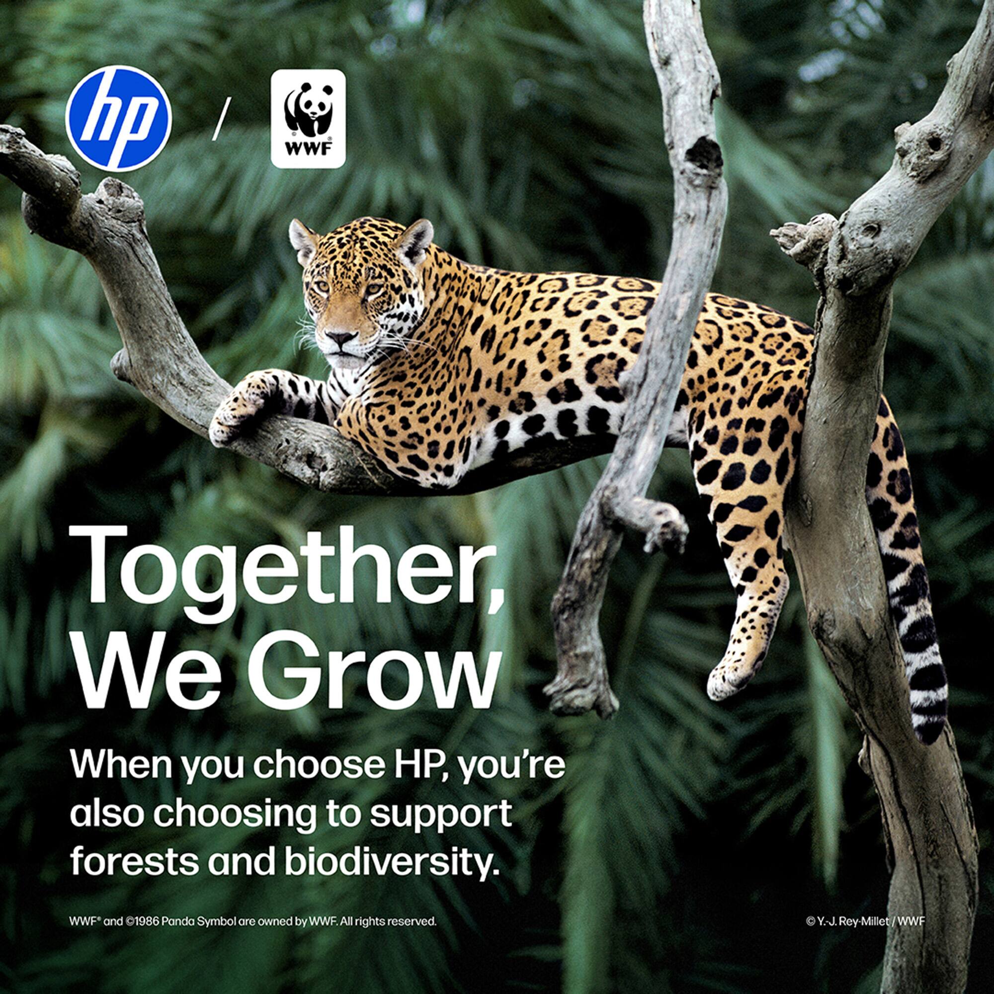 hp
WWF
Together, We Grow
When you choose HP, you're also choosing to support forests and biodiversity.
WWF and 1986 Panda Symbol are owned by WWF. All rights reserved.
Y.-J.Rey-Millet/WWF