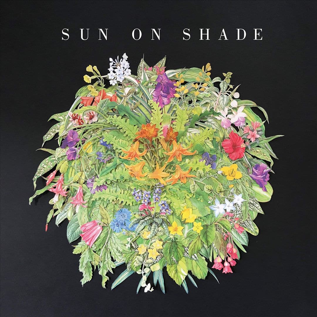 Sun on Shade [12 inch Vinyl Single]