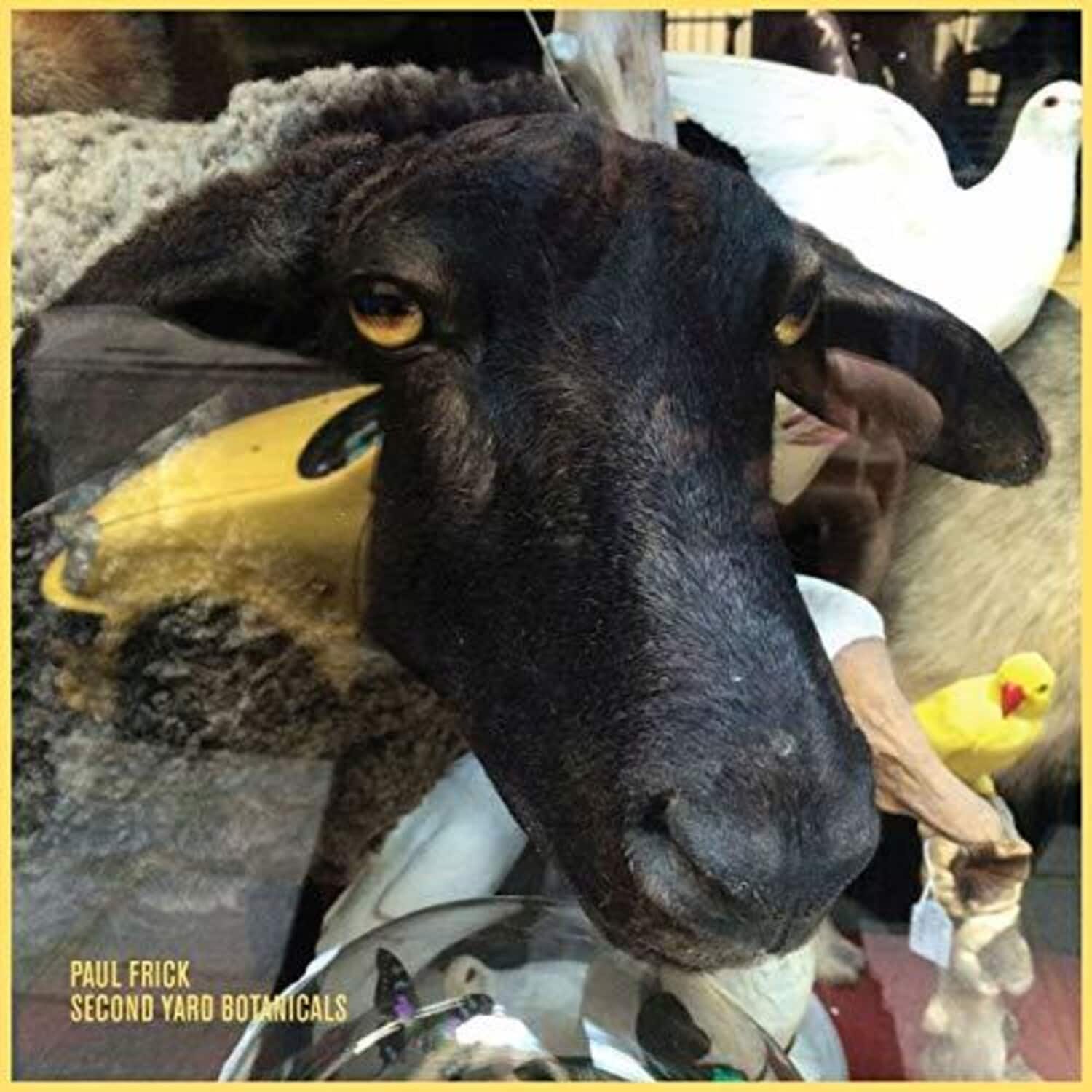 Paul Frick - Second Yard Botanicals   - VINYL LP