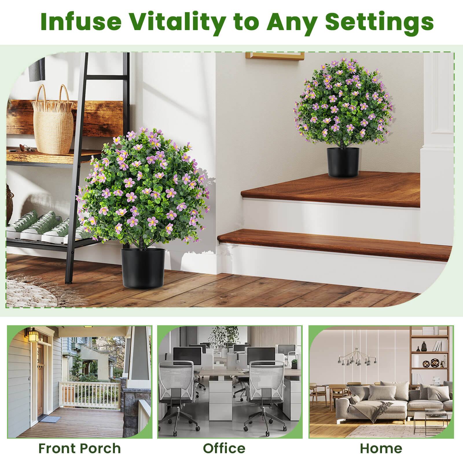 Infuse Vitality to Any Settings

Front Porch
Office
Home