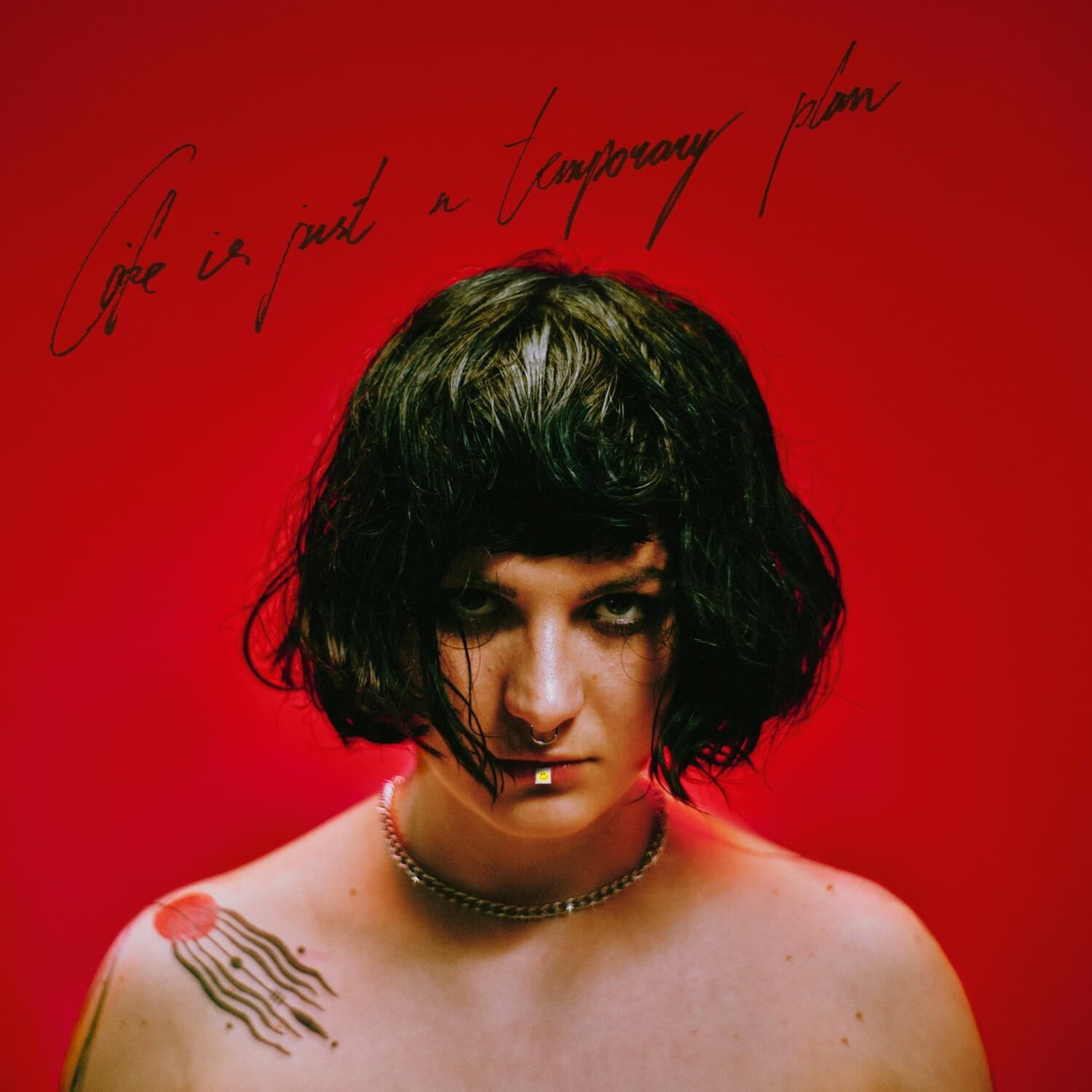 Abbie Falls - Life Is Just a Temporary Plan   - COMPACT DISCS [CD] price history on PriceWatchPro