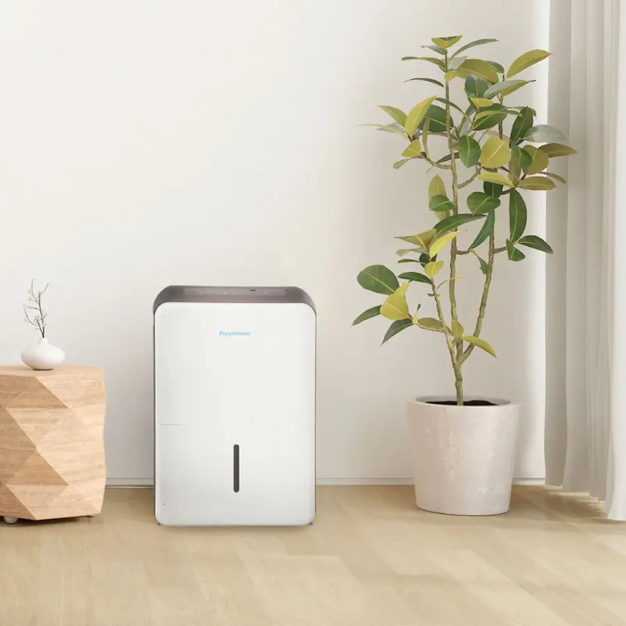 The image features a white air purifier placed on a wooden floor next to a potted plant. The air purifier is made by the company Royston.