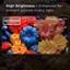 High Brightness - Enhanced for Brilliant Picture in Any Light. High Brightness LED Backlight Conventional TV.