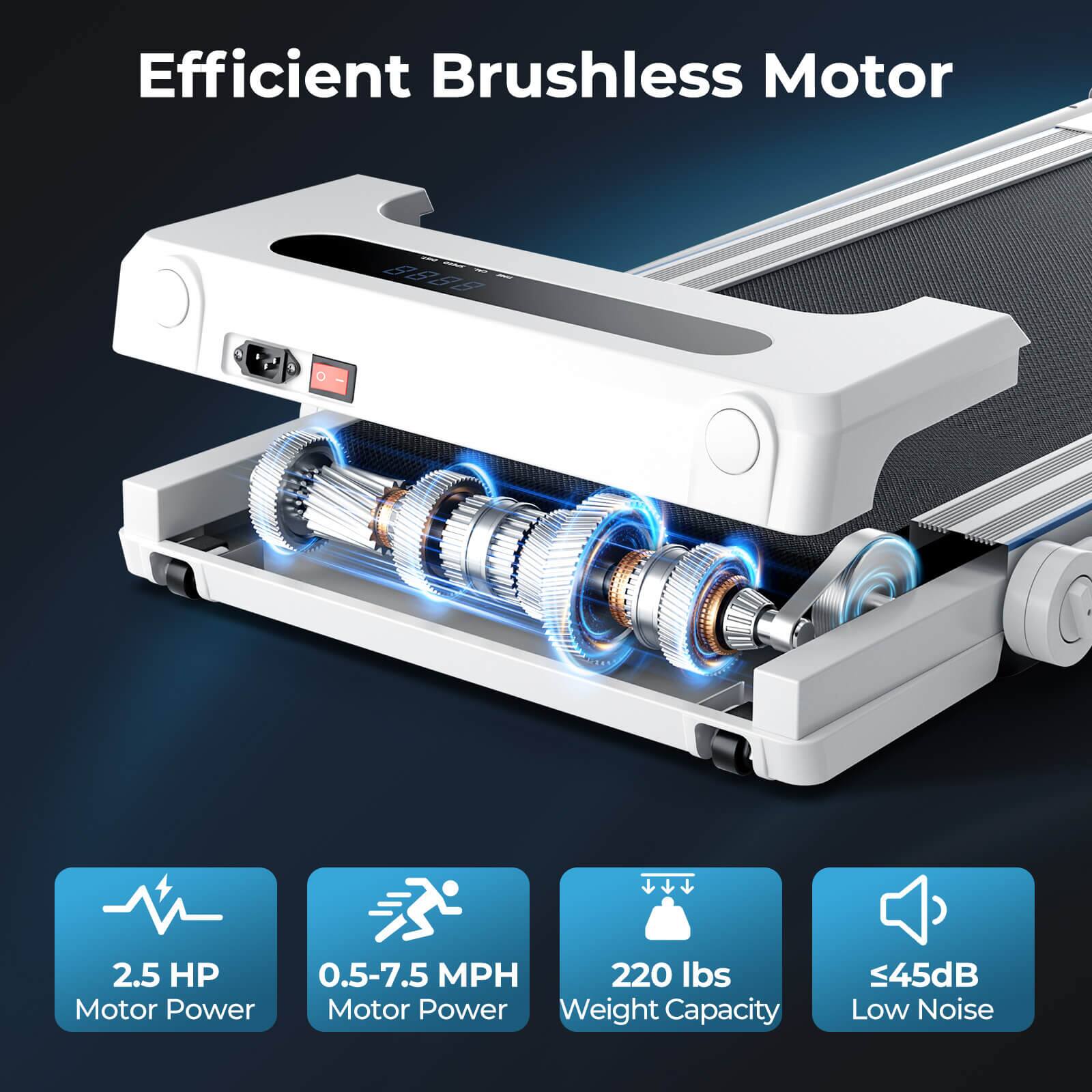 Efficient Brushless Motor
2.5 HP Motor Power
0.5-7.5 MPH Motor Power
220 lbs Weight Capacity
<45dB Low Noise