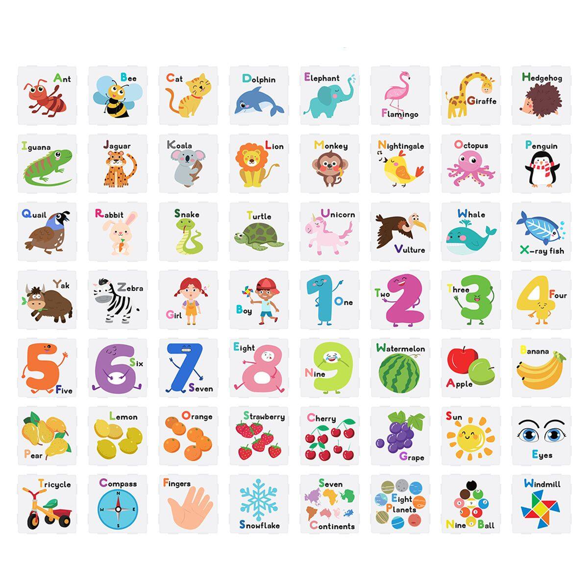 Ant  
Bee  
Cat  
Dolphin  
Elephant  
Hedgehog  
Flamingo  
Giraffe  
Iguana  
Jaguar  
Koala  
Lion  
Monkey  
Nightingale  
Octopus  
Penguin  
Quail  
Rabbit  
Snake  
Turtle  
Unicorn  
Whale  
Yak  
Zebra  

Girl  
Six  
5  
Five  
6  
7  
Seven  
Lemon  
Orange  
Boy  
Eight  
Strawberry  
Vulture  
Two  
Three  
One  
2  
Watermelon  
Nine  
9  
Apple  
Cherry  
Sun  
X-ray fish  
4  
Four  
Banana  
Pear  
Grape  
Eyes  
Tricycle  
Compass  
4  
Fingers  
Snowflake  
Seven Continents  
Eight Planets  
Nine Ball  
Windmill