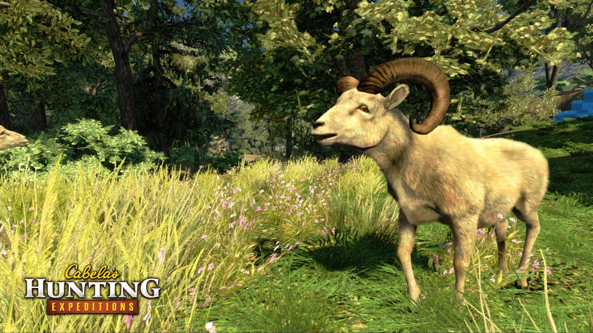 Cabela's Hunting Expeditions